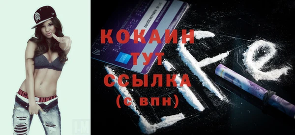 кокс Алексин