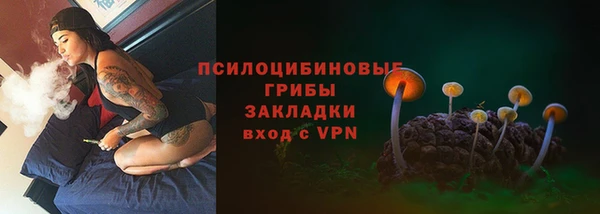 тгк Семикаракорск