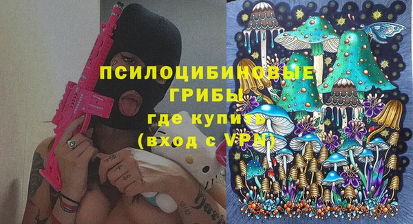 ГАЛЛЮЦИНОГЕННЫЕ ГРИБЫ Сафоново