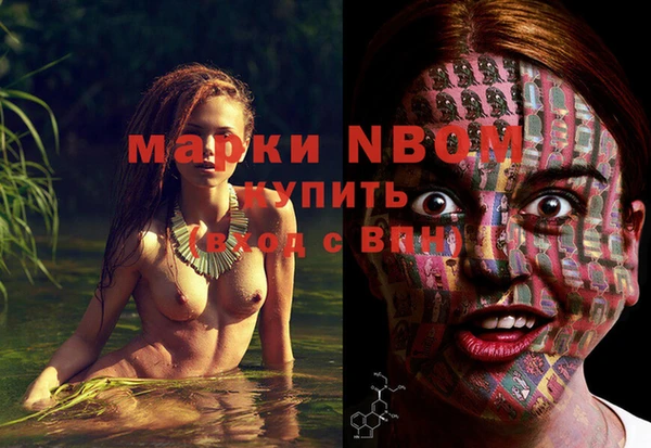 молекула духа Алексеевка