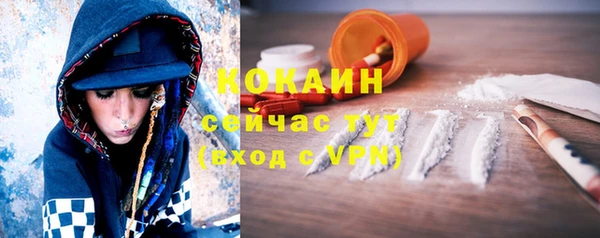 кокс Алексин