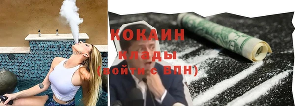 кокс Алексин