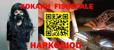 индика Кандалакша