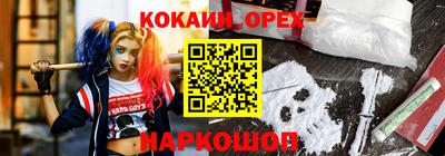 индика Кандалакша