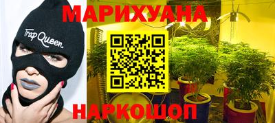индика Кандалакша