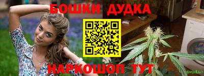 индика Кандалакша